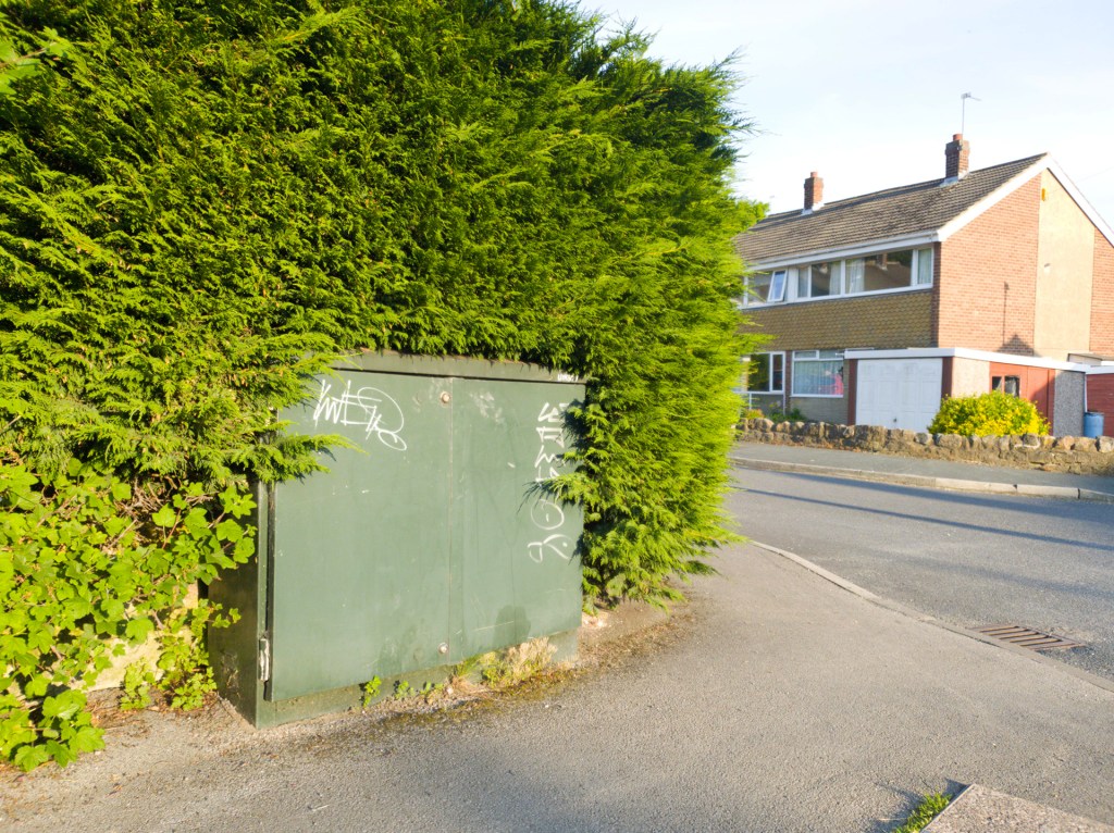 A blank broadband box in an overgrown hedge
