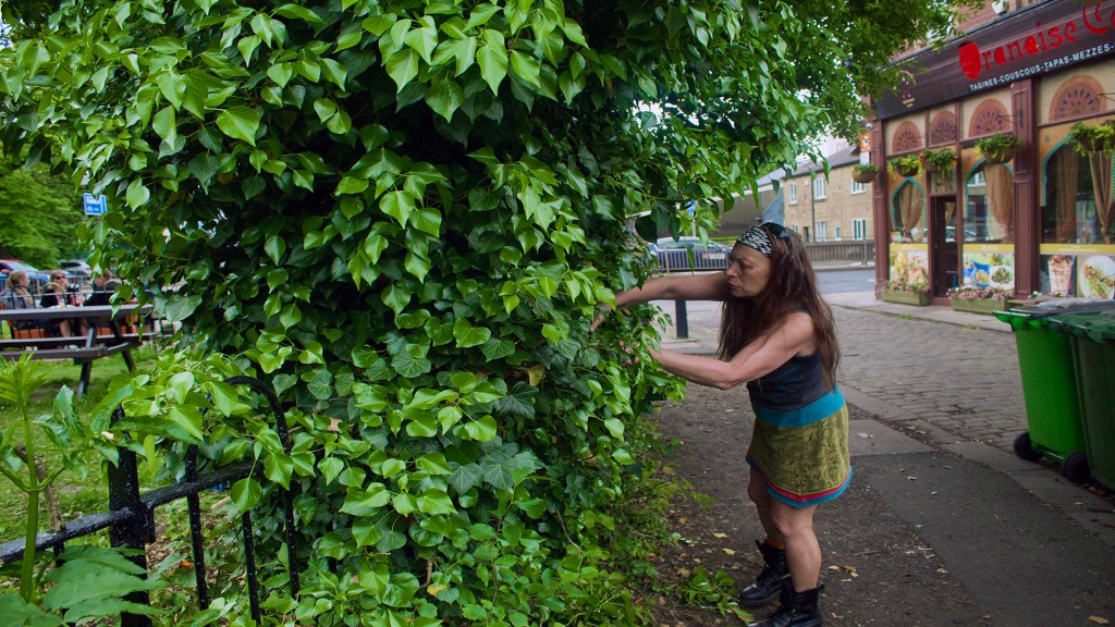 Beth cutting the hedges to keep the path clear.
