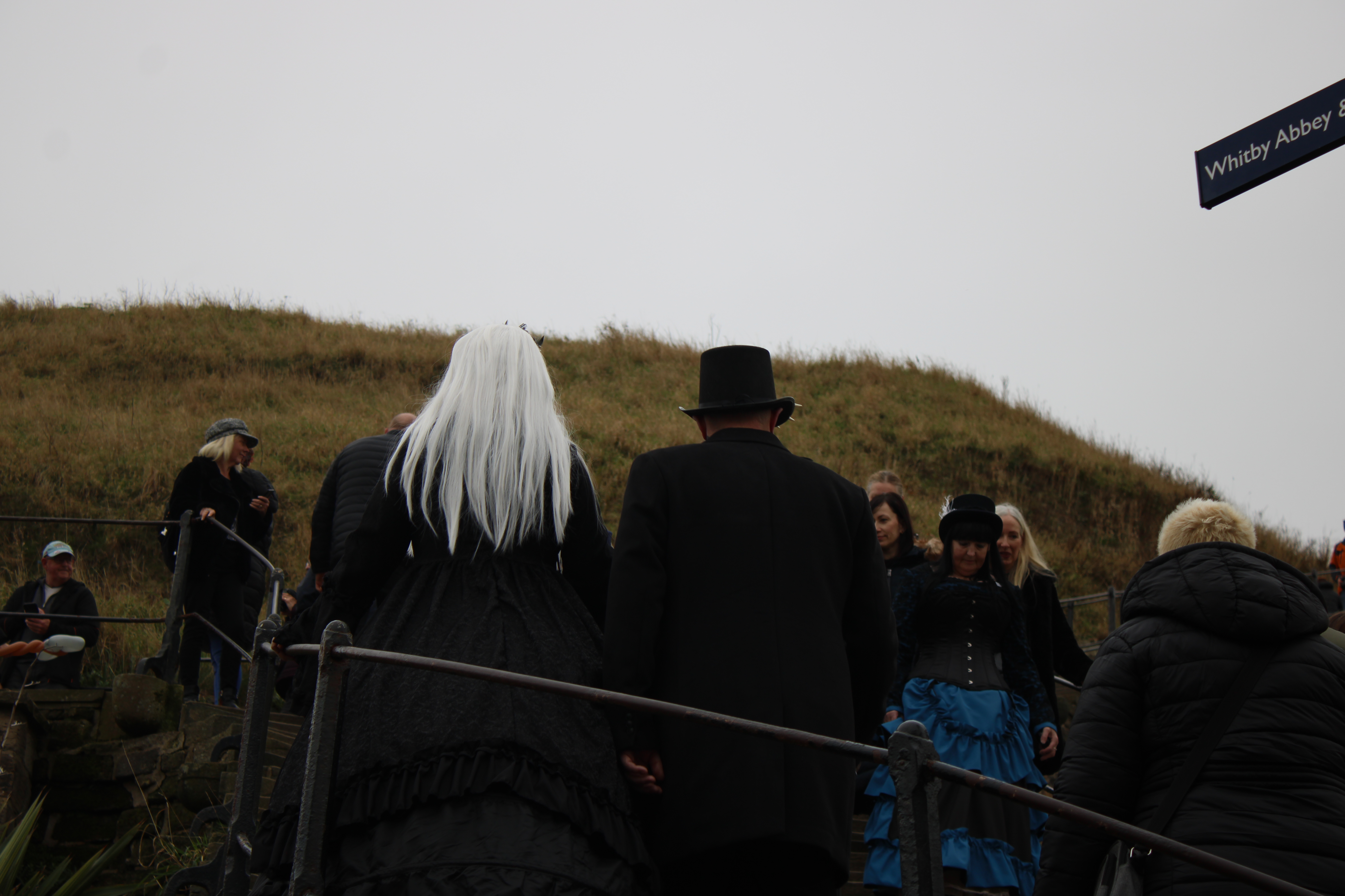 A couple walking up a flight of stone stairs facing away from the camera. One wearing a white wig, the other a top hat. The image is dull
