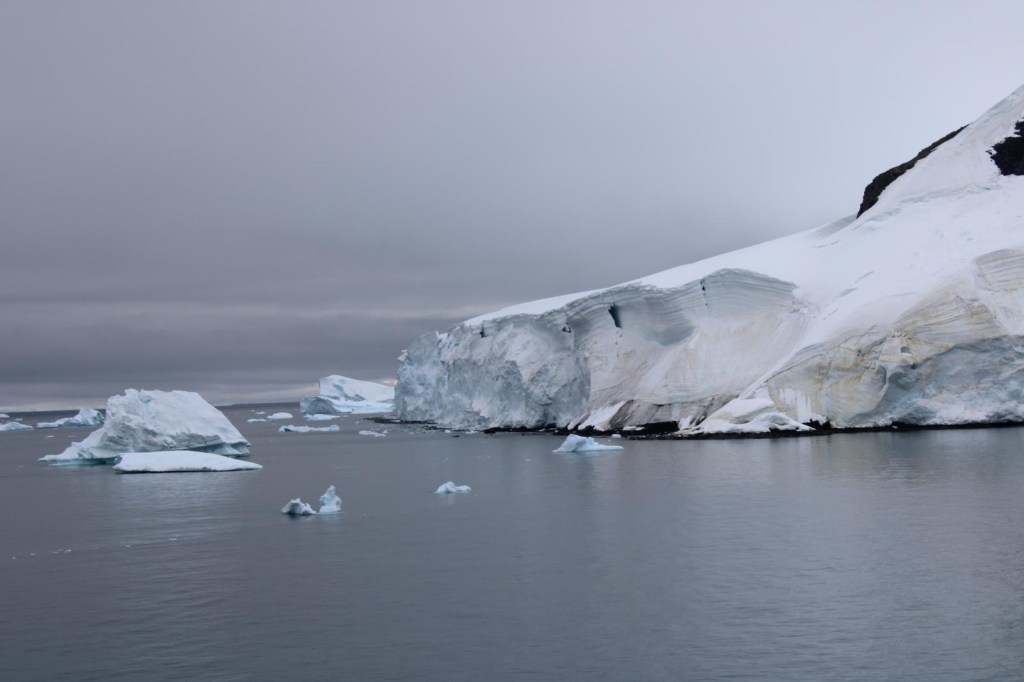 Picture of Icebergs in Antarctica 